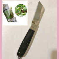 DAO GHÉP CÂY CHUYÊN DỤNG MÁ TRÁI