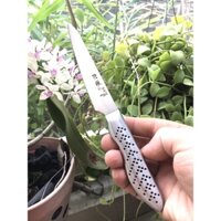 Dao gọt hoa quả trái cây 210mm cao cấp bếp Nhật SATO nhập khẩu chính hãng Nhật- Sỉ Gia Dụng Toàn Cầu TC