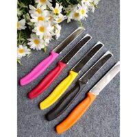 Dao gọt hoa quả Victorinox sản xuất Thụy Sỹ