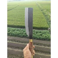 dao phay chặt thịt ngan gà vịt