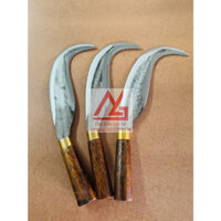 Dao sửa Dừa, cắt buồng dừa, mé tàu dừa