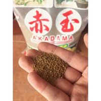 Đất Akadama 5kg (made in Japan) size SS (1-3mm) chuyên trồng cho xương rồng, sen đá.