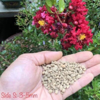 Đất Akadama cao cấp trồng thuỷ sinh, sen đá, bonsai đỗ quyên…