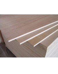 Dát giường tầng DJS-VE