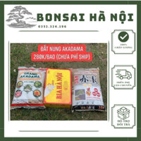 Đất nung Akadama Nhật Bản trồng sen đá, xương rồng, bonsai