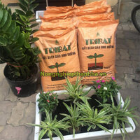 Đất sạch Tribat dinh dưỡng  cho cây trồng - Bao 8,5kg