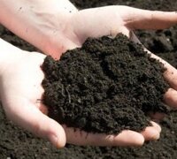 Đất sạch trồng cây giàu dinh dưỡng gói 1kg
