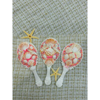 ĐẶT THEO YÊU CẦU GƯƠNG VỎ SÒ (ib shop làm theo yêu cầu)