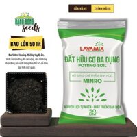 Đất Trồng Cây Lavamix (Bao lớn 50dm ~ 22kg) Đất hữu cơ trộn sẵn, trồng rau củ quả - Rạng Đông Seeds