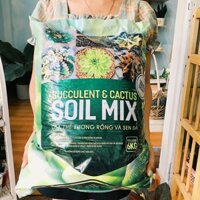 Đất trồng sen đá Soil Mix