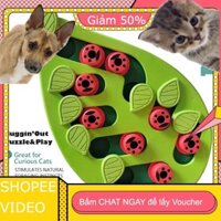 (Đặt trước) Cross-Border Pet Bowl Cat Slow Feeding Bowl Pet Educational Tool For Cats  Best Seller New Model Dog Bowl Pl