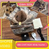 (Đặt trước) Mô phỏng điện  chim cánh rung điều khiển từ xa