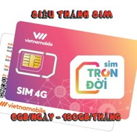 [DATA SIÊU KHỦNG] 6GB/Ngày (180GB/Tháng)  Sim trọn đời 4G Vietnam Mobile