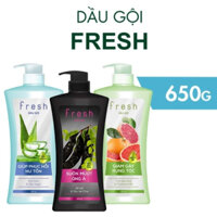 [Date 2026] Dầu Gội Fresh Chai Lớn 650g (Bồ Kết / Tinh Dầu Bưởi)