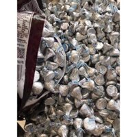 DATE 2026 Socola Kisses 330 Viên - Kisses Ú - Kisses Hershey's 1.58ký