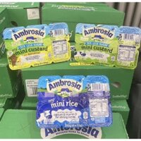(Date 5/2025) Váng sữa AMBROSIA cho bé 6 tháng của Anh