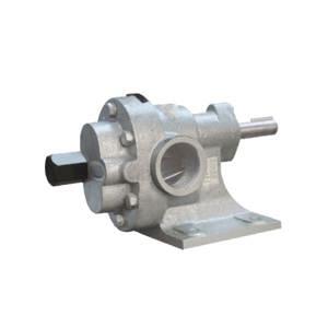 Đầu bơm bánh răng bằng inox 316 Maruti MESX-050 - 1 HP