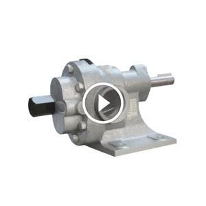 Đầu bơm bánh răng bằng inox Maruti MESX-125 - 2HP