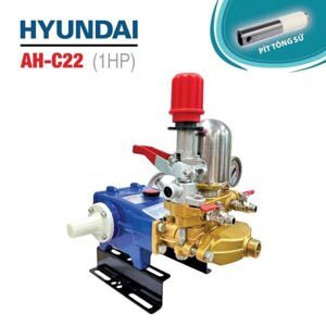 Đầu bơm cao áp Hyundai AH-C22