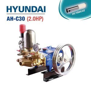 Đầu bơm cao áp Hyundai AH-C30