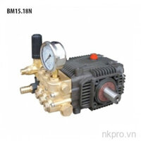 Đầu bơm rửa xe áp lực cao BTF BM1518N - Trục dương