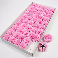 Đầu bông hoa cẩm chướng phủ sáp trang trí decor quà tặng, trang trí nón tốt nghiệp, phụ kiện chụp ảnh