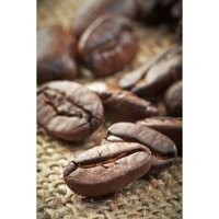 Dầu Cà Phê Arabica- Arabica Coffee Oil, CO2