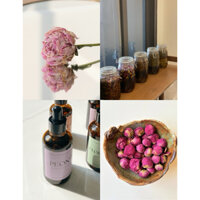 Dầu cám gạo ngâm hoa mẫu đơn chống nắng, mờ nếp nhăn PEONY INFUSED OIL