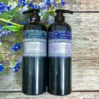 Dầu cặp gội xả HISCHER ARGAN 500 & 1000ml