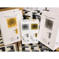 Dầu cặp Vinge collagen ( gội + xả )