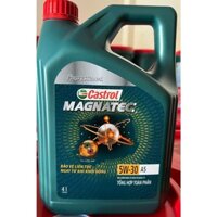 Dầu Castrol Professional Magnatec 5W30 A5 - 4L