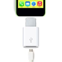 Đầu Chuyển Đổi Otg Mini Sang Micro Usb Cho Iphone Android