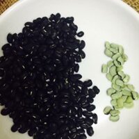 ĐẬU ĐEN XANH LÒNG NHÀ TRỒNG LOẠI 1