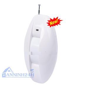 Đầu dò hồng ngoại không dây Safe&Save SS-800PIR