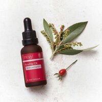 Dầu dưỡng tầm xuân làm sáng da Trilogy Antioxidant Rosehip Oil - 30ml