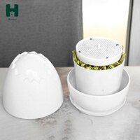 Đậu Giá Máy Xô Khay Bình Microgreens Trồng Bộ Hình Trứng