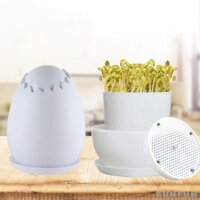 Đậu Giá Máy Xô Khay Bình Microgreens Trồng Bộ Hình Trứng