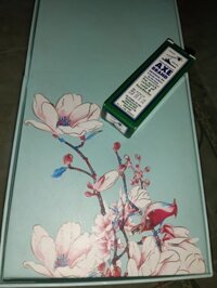 DAU GIO SINGAPORE  AXE BRAND