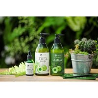 Dầu gội amla