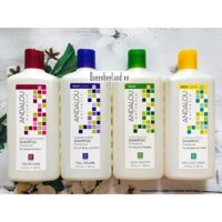 DẦU GỘI ANDALOU NATURALS