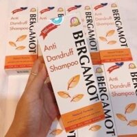 Dầu gội bergamot