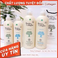 Dầu Gội Biotin collagen