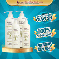 Dầu gội biotin collagen Voudioty dầu gội đầu cặp ngăn rụng tóc, giảm gàu cho da đầu dầu, dầu gội collagen 500ml–1000ml