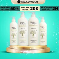 Dầu gội biotin collagen Voudioty dầu gội đầu cặp ngăn rụng tóc, giảm gàu cho da đầu dầu, dầu gội collagen 500ml, 1000ml