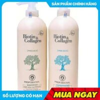 Dầu gội Biotin giá rẻ toàn quốc