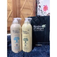 Dầu gội biotin