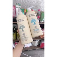 đâu gội biotin