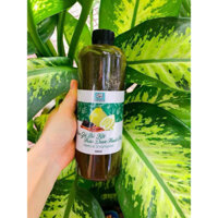 DẦU GỘI BỒ KẾT THẢO DƯỢC THUỐC BẮC - Kích Thích Mọc Tóc- Giảm Gãy Rụng- Mềm Mại Tóc