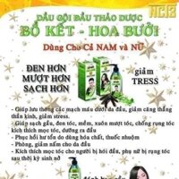 Dầu gội bồ kết