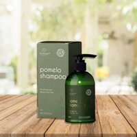 Dầu Gội Bưởi Cao Cấp [GIẢM RỤNG Tóc] Xịt Bưởi ViJully Chính Hãng - Kích Mọc Tóc - Dưỡng Tóc Dài Nhanh